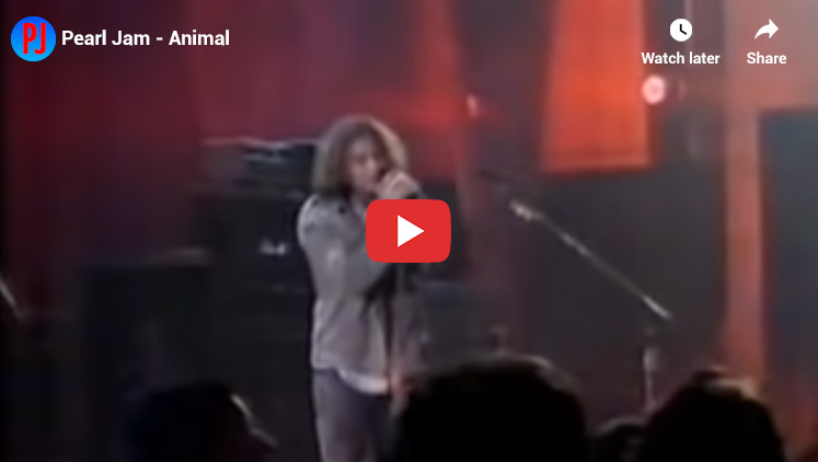 39. Animal - Vs. - Top Pearl jam Songs