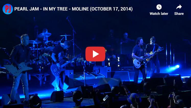 6. In My Tree - Top Pearl jam Songs